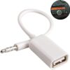 CABLE AUXILIAR DE AUDIO 3.5MM A USB 2.0 PARA AUTO - BLANCO